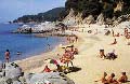 lloret1_120.jpg